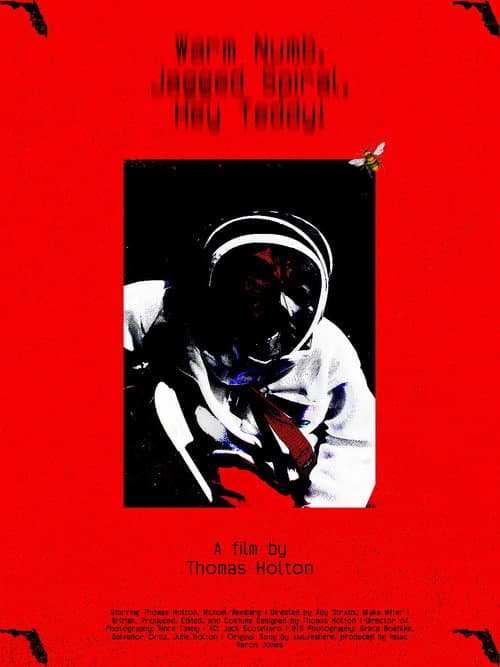 Warm Numb, Jagged Spiral, Hey Teddy!