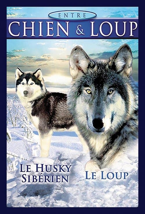Entre Chien Et Loup
