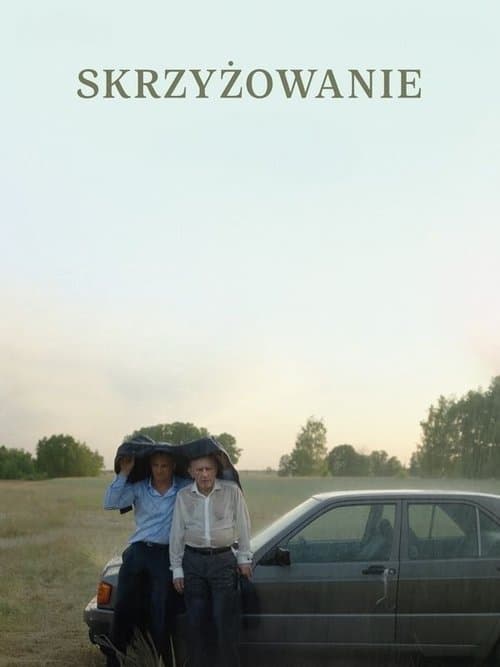 Skrzyżowanie