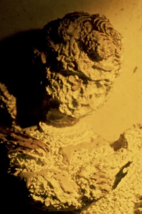 Niño monaguillo y sus pecados