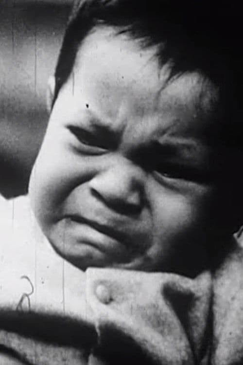 Le Témoin ou la timide espérance