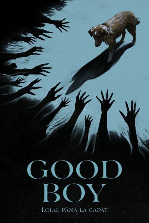 Good Boy: Loial până la capăt