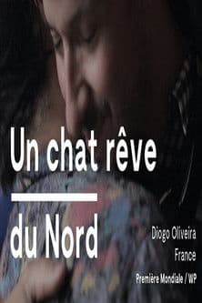 Un chat rêve du Nord