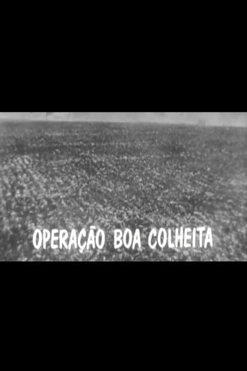 Operação Boa Colheita