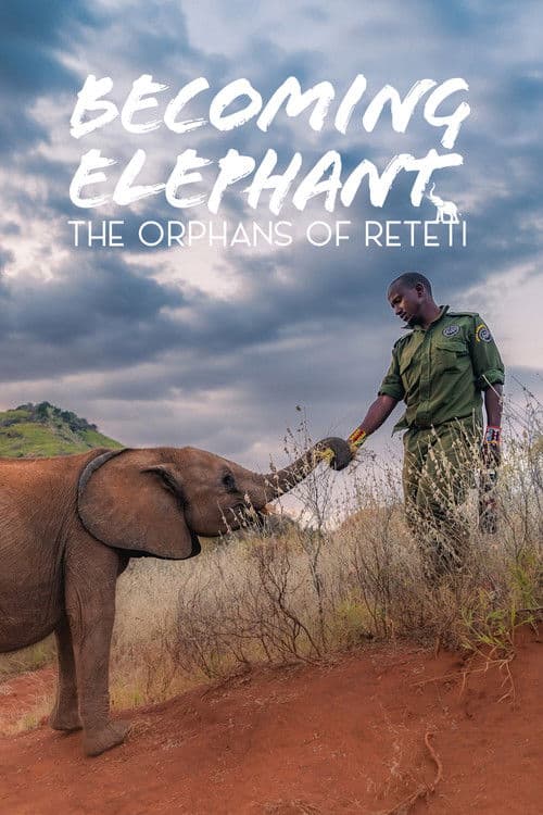 Becoming Elephant: The Orphans Of Reteti