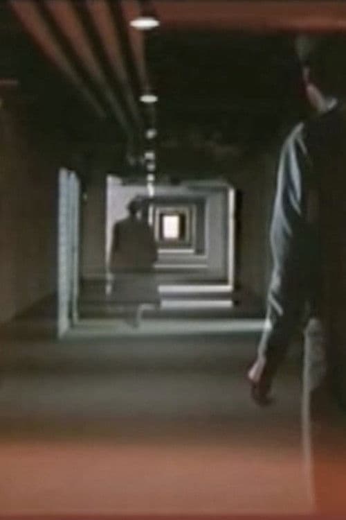 J'écoute Bob Dylan dans un tunnel