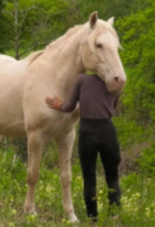 Le silence entre les notes