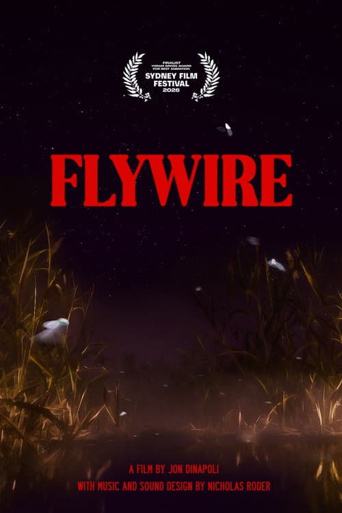 Flywire