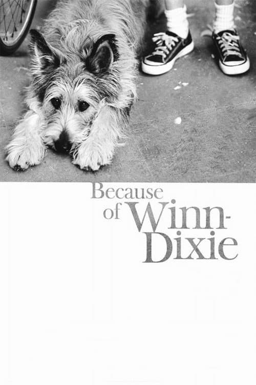 Din cauza lui Winn-Dixie