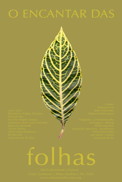 O Encantar das Folhas
