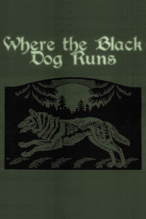 Where the Black Dog Runs
