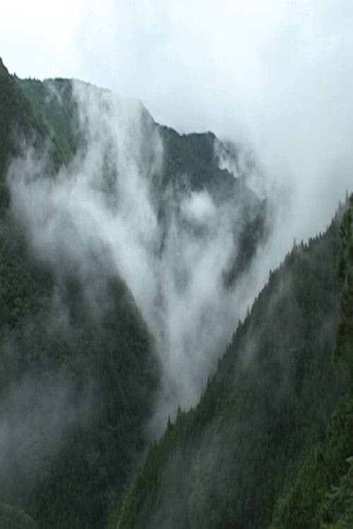 天竜区奥領家大沢　夏