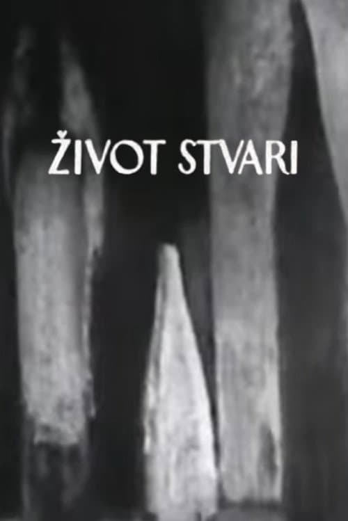 Život stvari