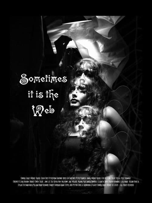 Sometimes it is the Web