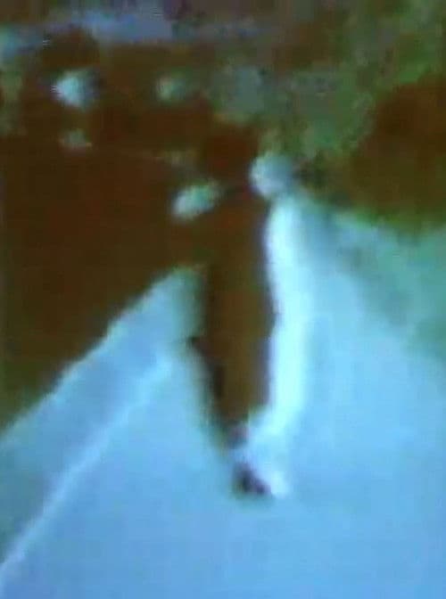 認知構造№XIII 変奏’85