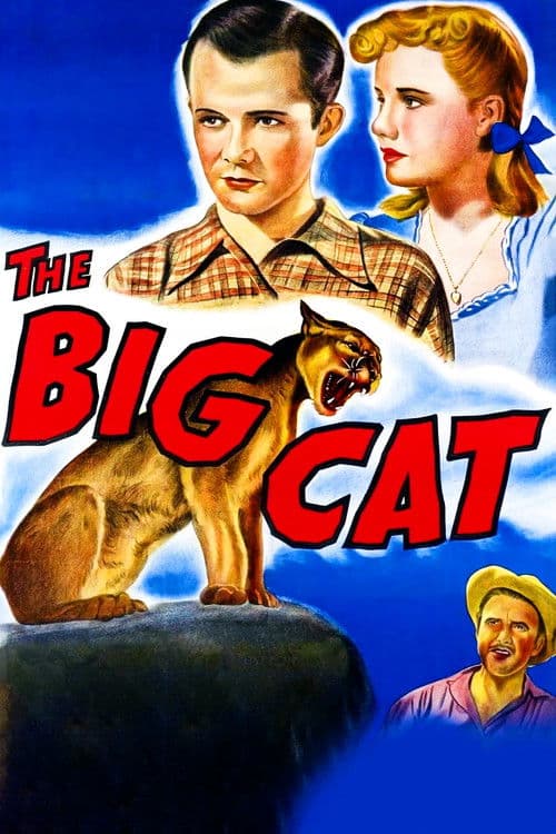 The Big Cat