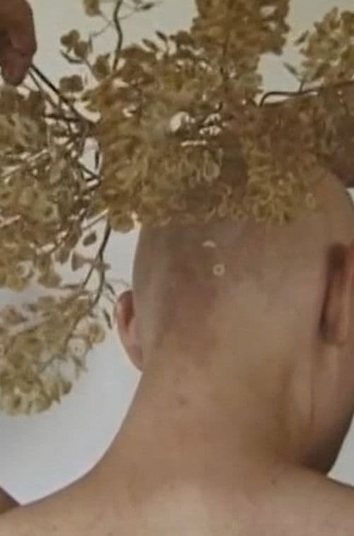 Du front tout le tour de la tête