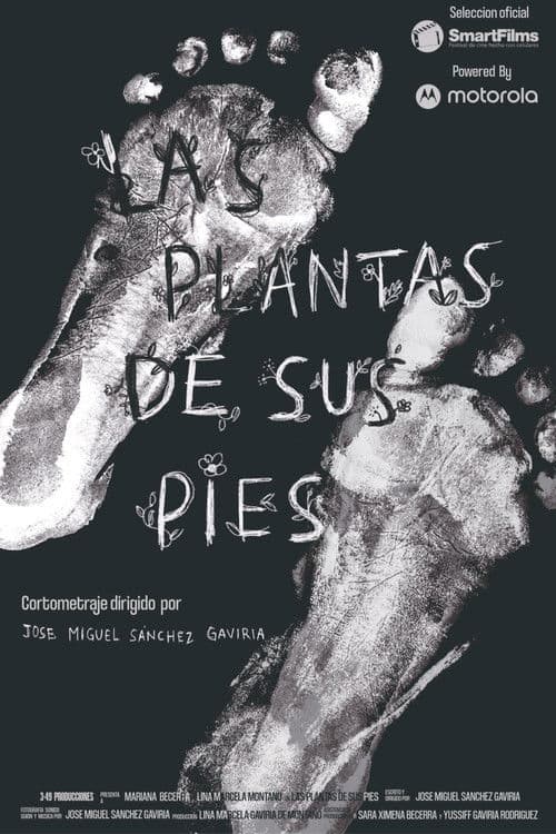 Las plantas de sus pies