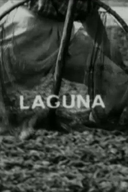 Laguna