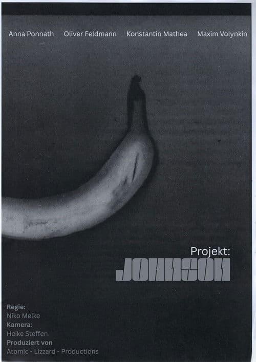 Projekt: Johnson