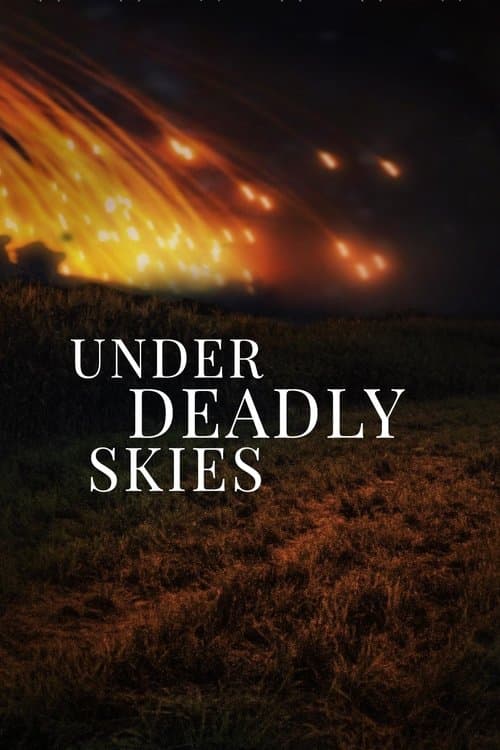 Under Deadly Skies: Ukraine's Eastern Front
