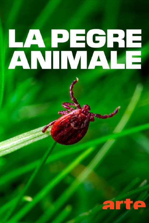 La pègre animale: la vie secrète des parasites