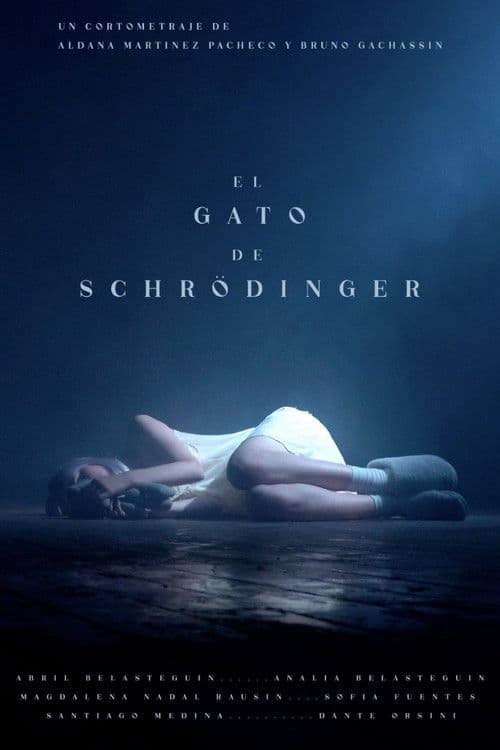 El Gato de Schrödinger