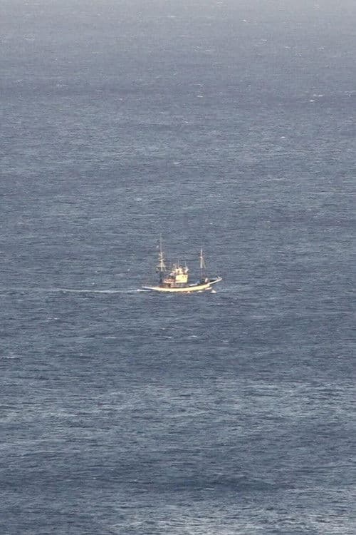 Three Days, My Friend