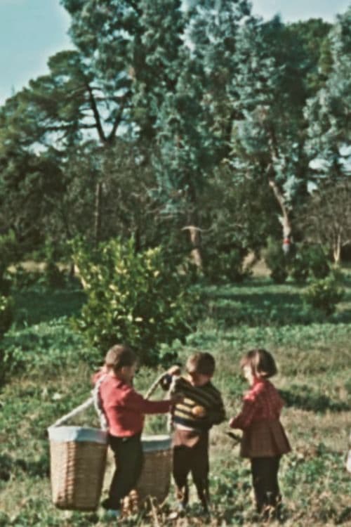 კოლხიდა