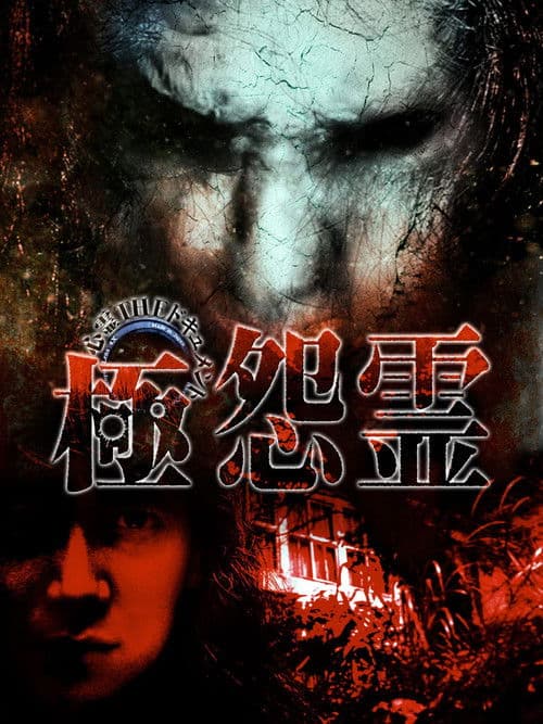 心霊THEドキュメント 極怨霊
