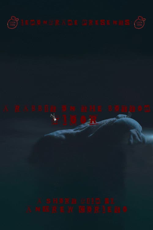 A RABBIT ON THE BOTTOM FLOOR