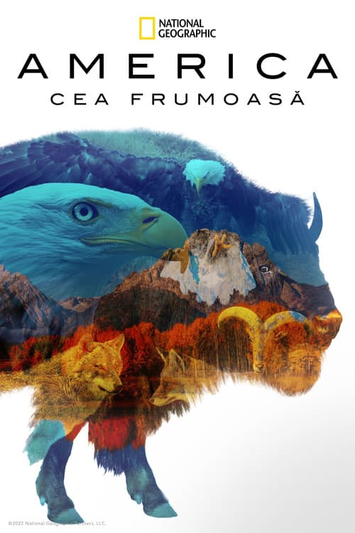 America the Beautiful