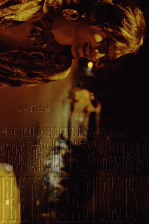 2022年北京部分地区部分青年生活状况观察报告 a-side