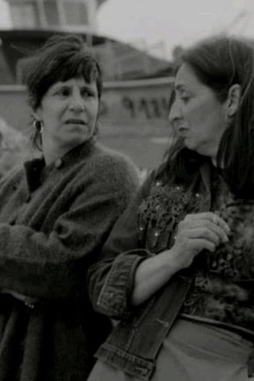 As Gaivotas Cortam o Céu