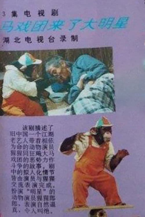 马戏团来了大明星