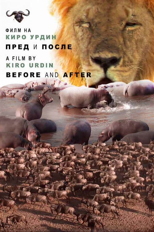 Пред и после