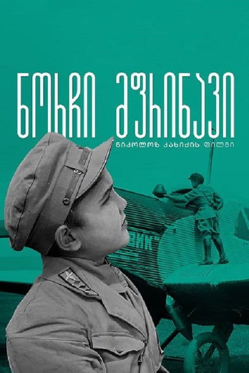 ნორჩი მფრინავი