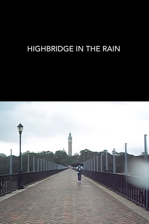 Highbridge in the Rain