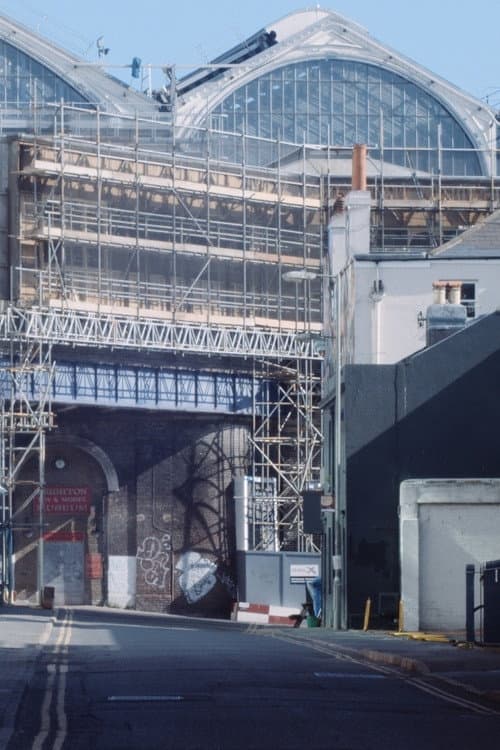 A Spring in Endless Bloom