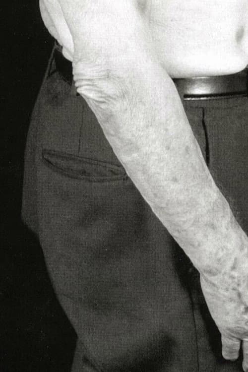 Un perfetto gentiluomo