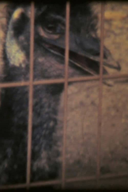 同線上にあり、水に反射する