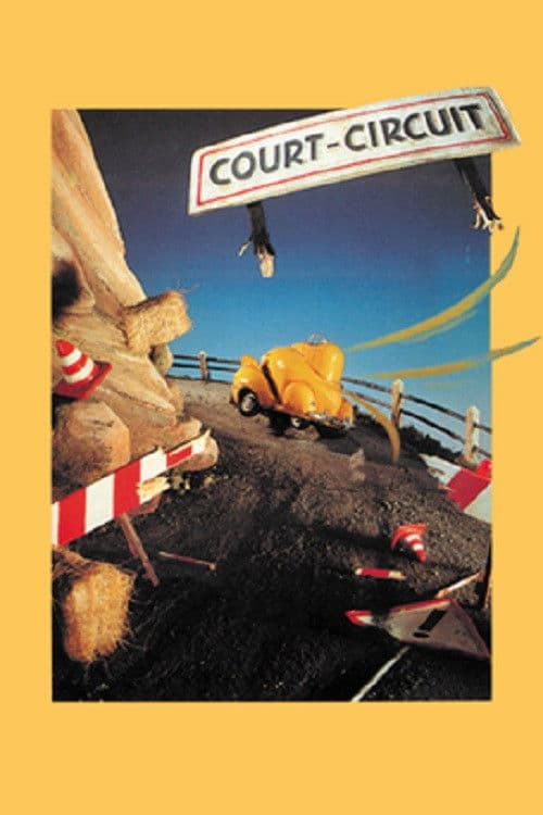 Court circuit
