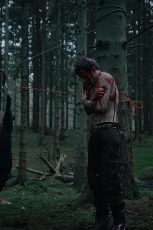 Træer Malet i Tjære