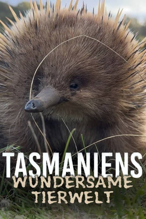 Tasmaniens wundersame Tierwelt