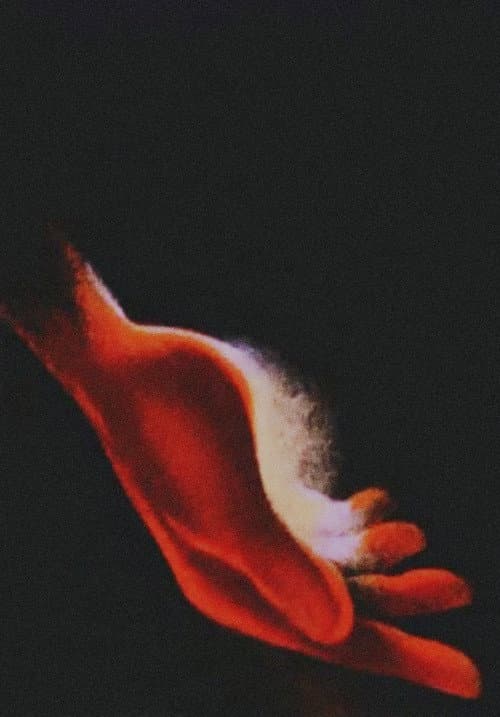 Chopin