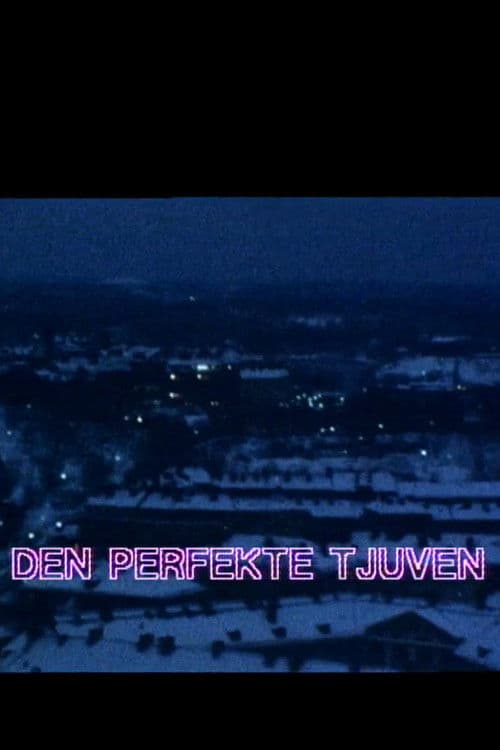 Den perfekte tjuven