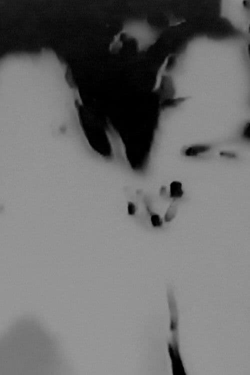 Witches Walk Monochrome