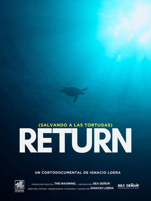 Return: Salvando a las Tortugas