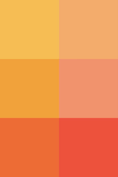 #ef795a, #f49956, #e94e1b, #f9b233, #f39200, #e7302a.