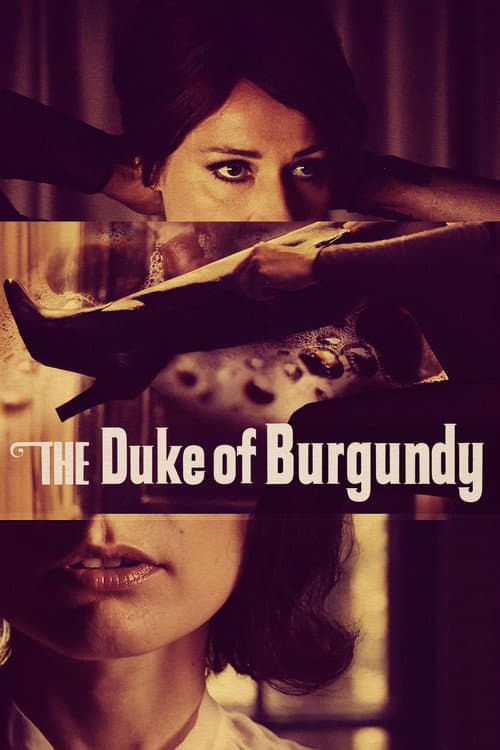 Ducele de Burgundia
